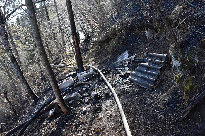 V gozdnem požaru v Babni Gori pogorela tudi dva čebelnjaka