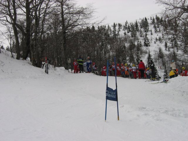 nastartu1.jpg