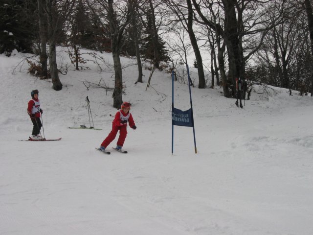 sarauek.jpg