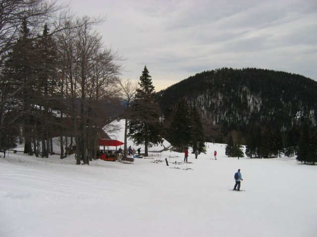 sorikaplanina5.jpg