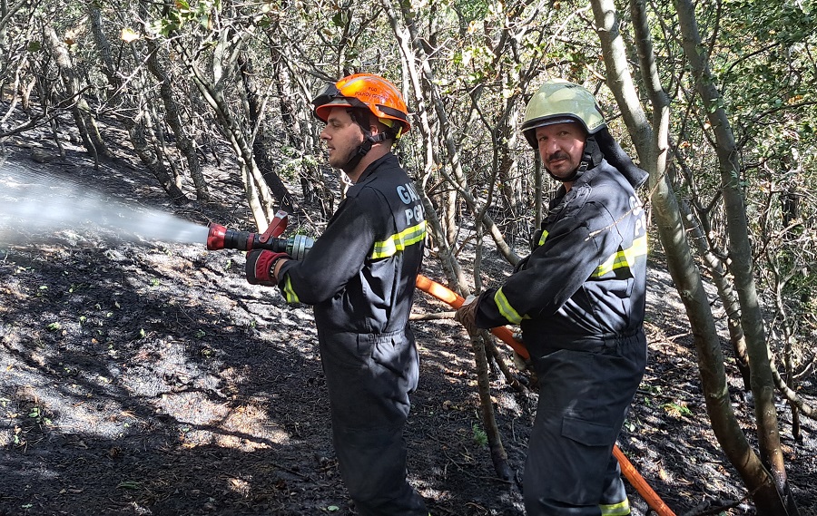 VIDEO: Odšli smo tudi na pomoč pri gašenju požara v Socerbu